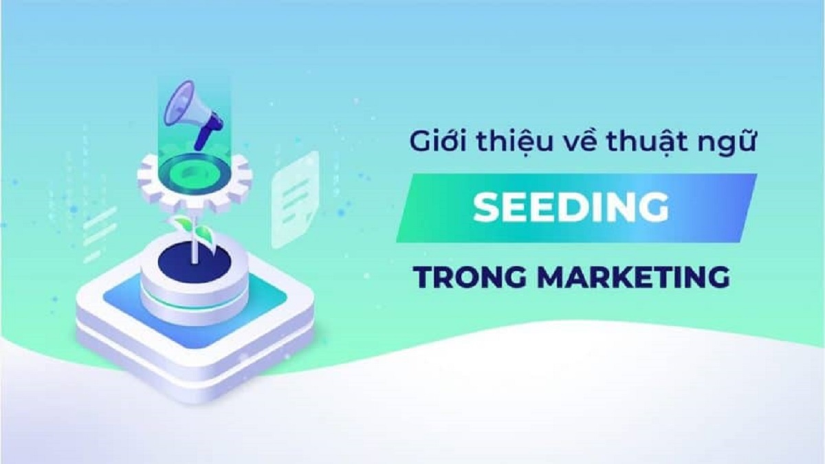 Seeding là gì? Tìm hiểu về khái niệm và ứng dụng