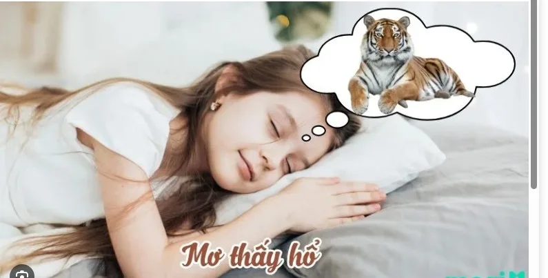 Mơ thấy hổ báo hiệu cho điều gì ?