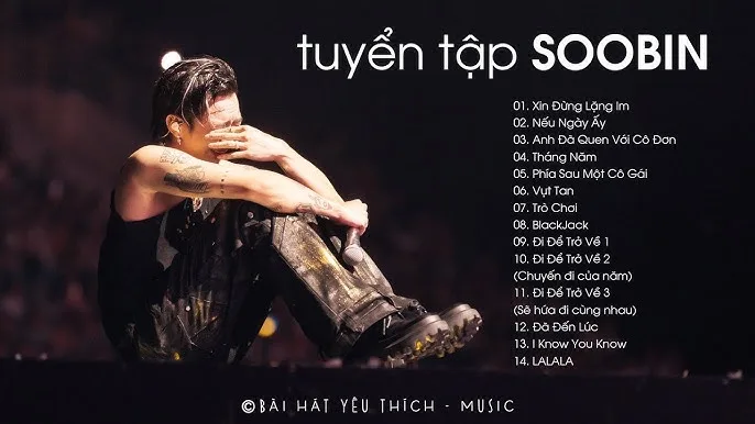 tieu-su-soobin-hoang-son-hoang-tu-tinh-ca-cua-spacespeakers-187